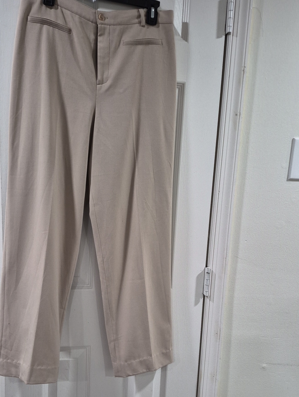 Rafaella Wide Leg Dress Pants in Beige